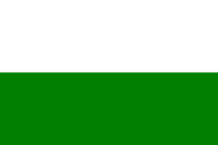 Файл:Bandera puerres.png