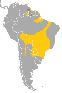 Файл:Glauco area.png
