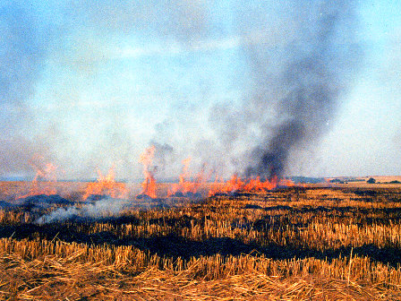 Файл:Autumn burn.jpg