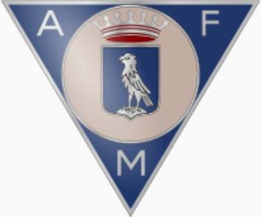 Файл:AFM logo.jpg