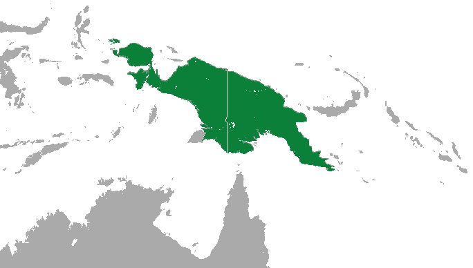 Файл:Lesser Tube-nosed Fruit Bat area.png