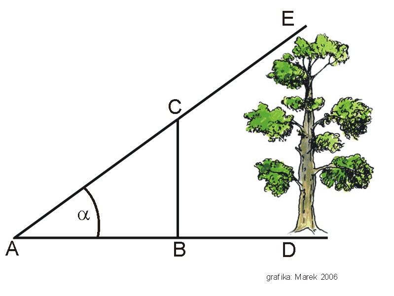 Файл:Triangulation.jpg