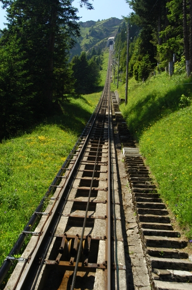 Файл:Niesen4.jpg