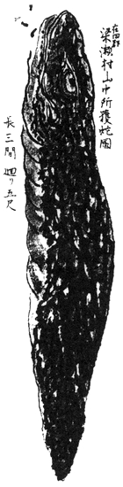 Файл:Suizan Nozuchi.jpg