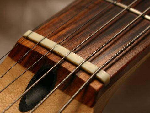 Файл:Guitar nut.jpg
