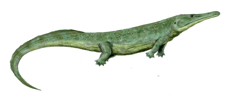 Файл:Prionosuchus BW.jpg