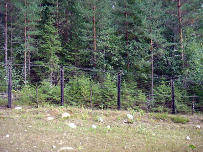 Файл:Gardina.jpg