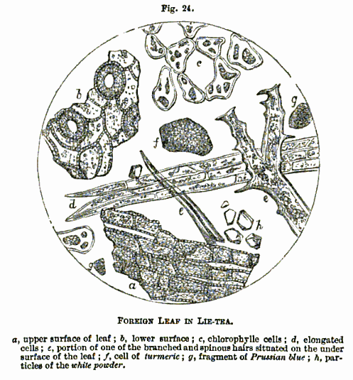 Файл:Hassall - Foreign leaf in lie-tea.png