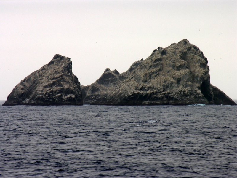 Файл:Shag-Rocks-en-Route-to-South-Georgia.jpg