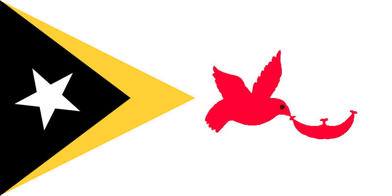 Файл:Flag of Baucau.png
