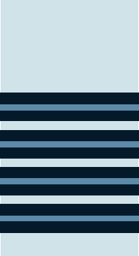 Файл:Group Captain of IAF.png