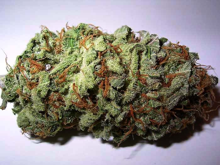 Файл:ST-3-bud.jpg