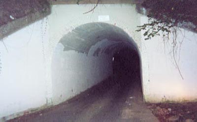 Файл:Bunnyman bridge night.jpg