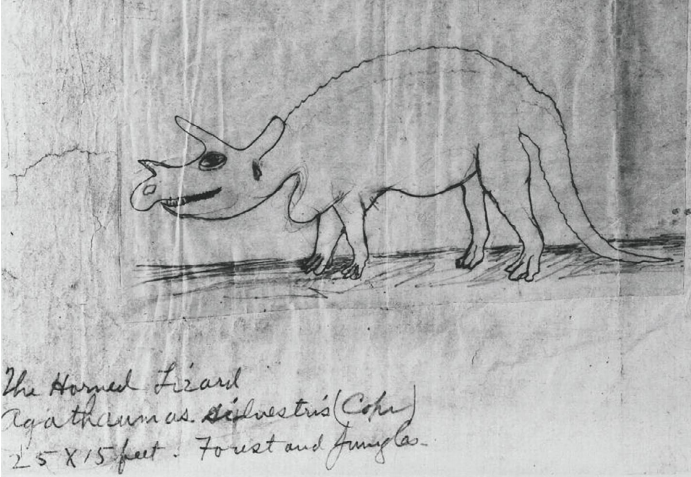 Файл:Cope sketch Agathaumas.png