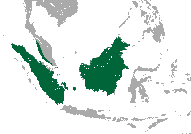 Файл:Silvery Lutung area.png