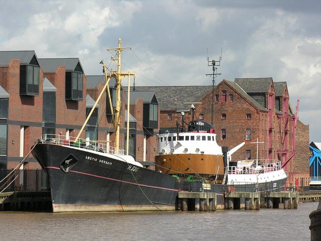 Файл:Arctic corsair.jpg