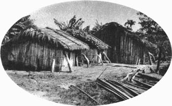 Файл:Er nd 3032 Paiwan.jpg