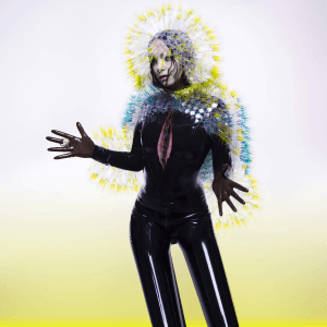 Обложка альбома Бьорк «Vulnicura» (2015)