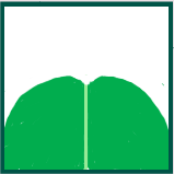 Файл:Leaf morphology apex emarginate.png
