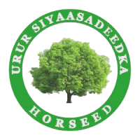 Файл:Logo of Horseed.png