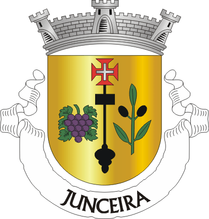 Файл:TMR-junceira.png