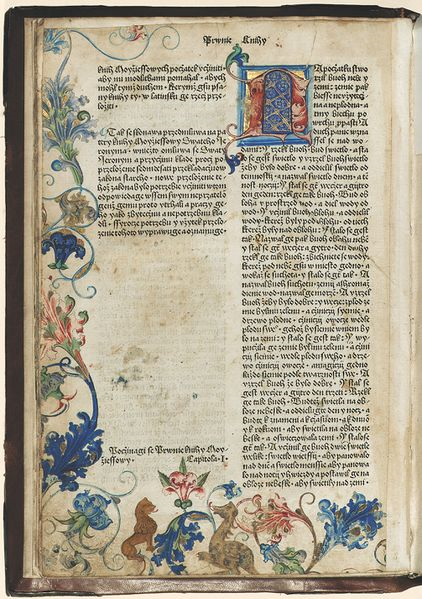 Файл:Biblia praska.png