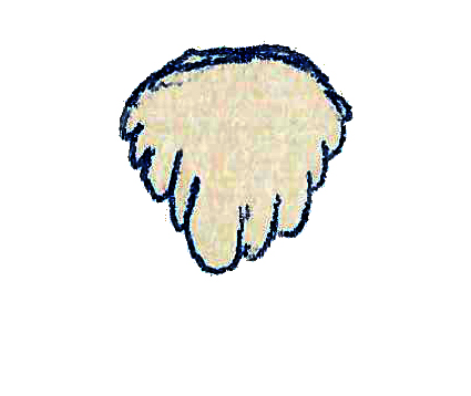Файл:Alocodon.jpg