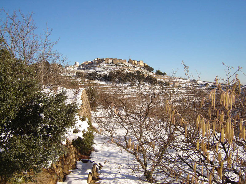 Файл:BenafigosNevado.jpg