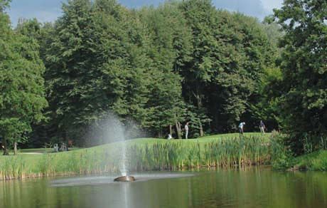Файл:Harderwold.jpg