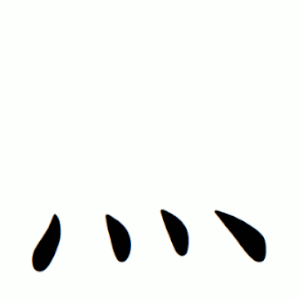 Файл:灬-order.gif