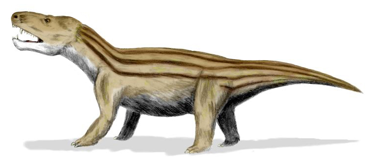 Файл:Cynognathus BW.jpg