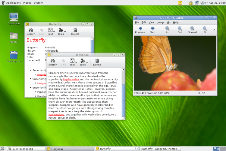 Файл:Gnome-2.20-screenshot.png