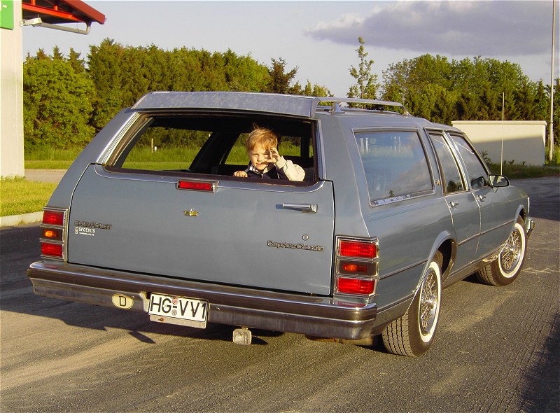 Файл:Chevrolet-CapriceClassic1987-heck-ABug.jpg