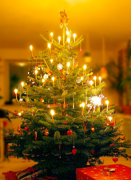 Файл:Juletræet.jpg