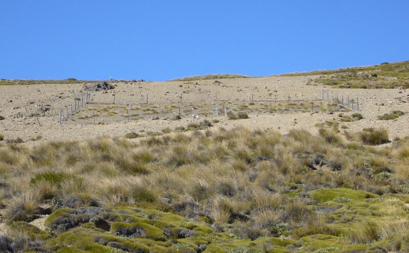 Файл:Exclusion plot on Island Saddle.jpg