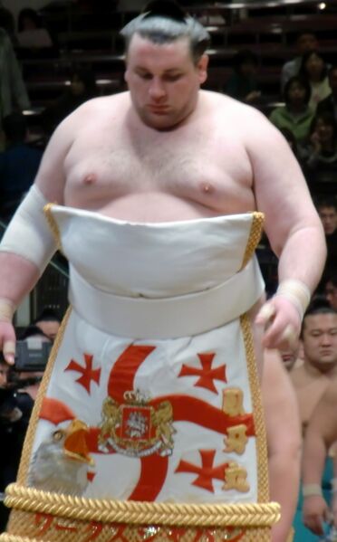 Файл:Gagamaru 2010 Jan.JPG