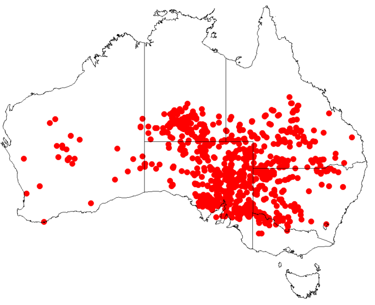 Файл:Hakea leucopteraDistMap72.png