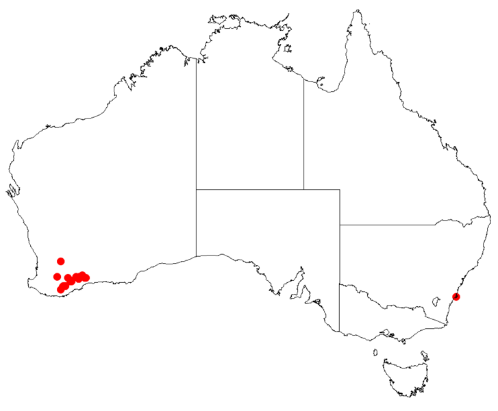 Файл:Hakea brachypteraDistMap14.png