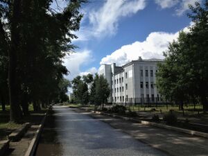 Улица Ижевская от пересечения с улицей Максимова