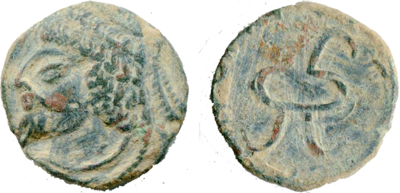 Файл:Coin of Vanvan of Chach.png
