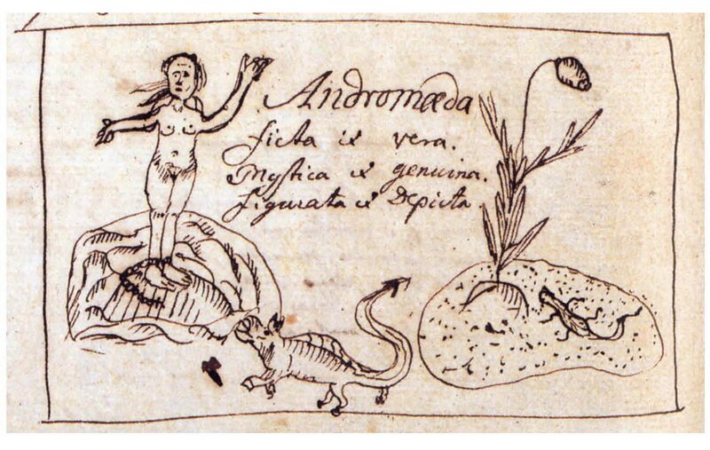 Файл:Linnaeus Andromeda.jpg