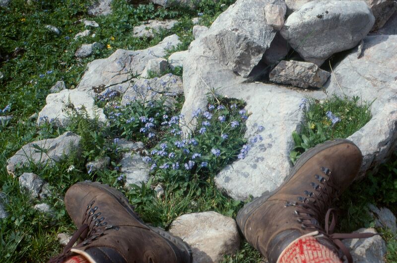Файл:Wanderschuhe.jpg