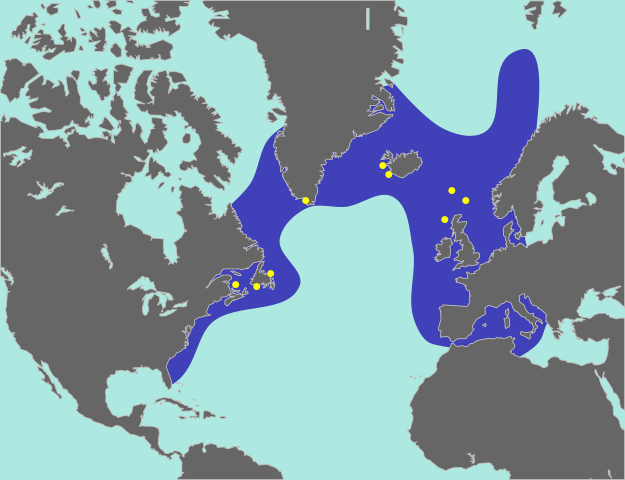 Файл:GreatAukMap.svg