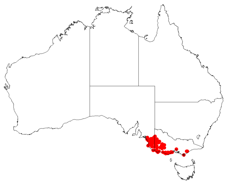 Файл:Hakea repullulansDistMap118.png
