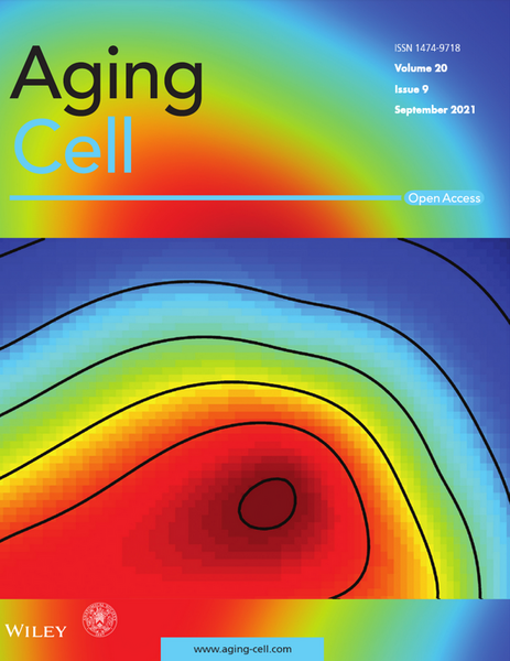Файл:Aging Cell.png