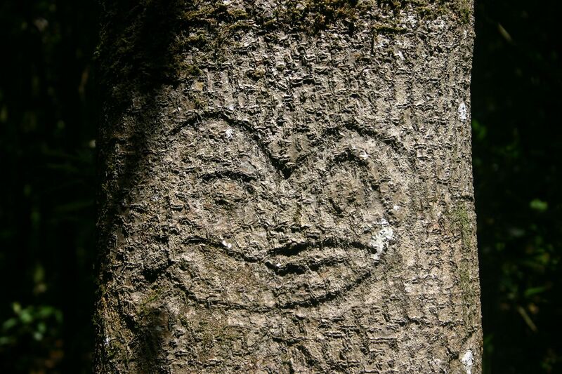 Файл:Chatham Island Tree Carving.JPG