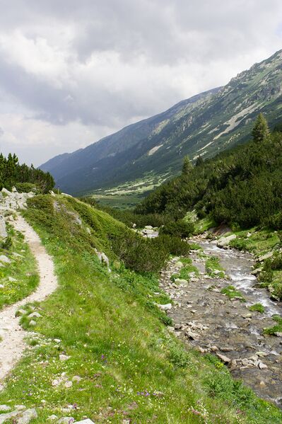 Файл:Demjanitsa river upper.jpg