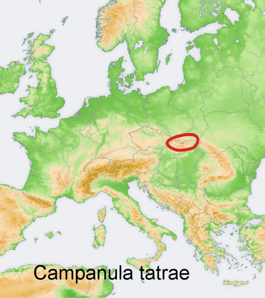 Файл:Distribution map Campanula tatrae.png