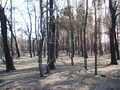 Миниатюра для версии от 03:08, 9 августа 2023