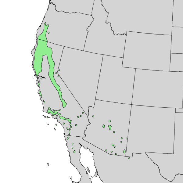 Файл:Quercus chrysolepis range map 1.png